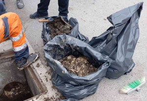 Παλλήνη: Ο Δήμαρχος εκφράζει τις ευχαριστίες του, στους αιρετούς και εργαζομένους του Δήμου, για την άμεση επέμβαση στην πρωτοφανή βροχόπτωση