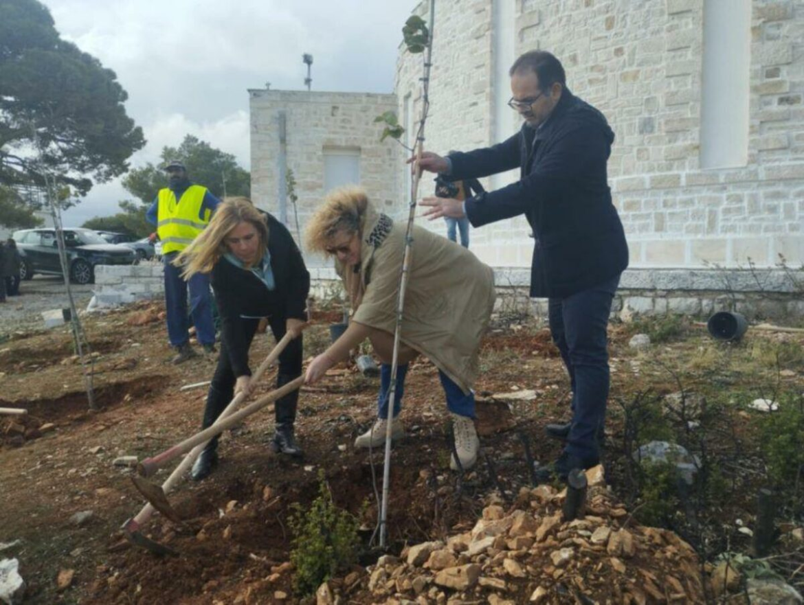 Η Πεντέλη θωρακισμένη και πράσινη: Το μεταρρυθμιστικό σχέδιο της Νατάσσας Κοσμοπούλου
