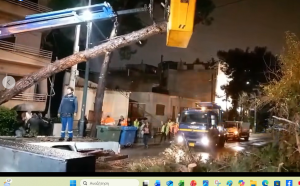 Ολοκληρώθηκε πριν λίγο η επιχείρηση κοπής και απομάκρυνσης του τεράστιου πεύκου που έπεσε το απόγευμα στην Παπανικολή Ολοκληρώθηκε πριν λίγο η επιχείρηση κοπής και απομάκρυνσης του τεράστιου πεύκου που έπεσε το απόγευμα στην Παπανικολή