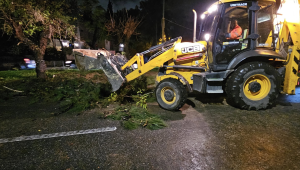 Ολοκληρώθηκε πριν λίγο η επιχείρηση κοπής και απομάκρυνσης του τεράστιου πεύκου που έπεσε το απόγευμα στην Παπανικολή Ολοκληρώθηκε πριν λίγο η επιχείρηση κοπής και απομάκρυνσης του τεράστιου πεύκου που έπεσε το απόγευμα στην Παπανικολή