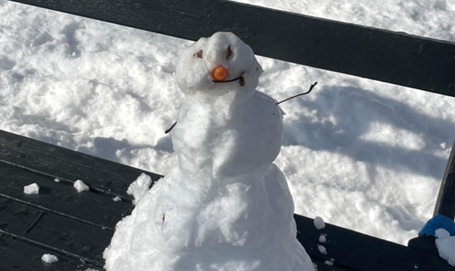 Χιόνια στην Αττική: Προβλήματα στην κυκλοφορία και "λευκό" σκηνικό