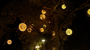 Η χριστουγεννιάτικη γιορτή στο Χαλάνδρι ξεκίνησε με το άναμμα του δέντρου Η χριστουγεννιάτικη γιορτή στο Χαλάνδρι ξεκίνησε με το άναμμα του δέντρου