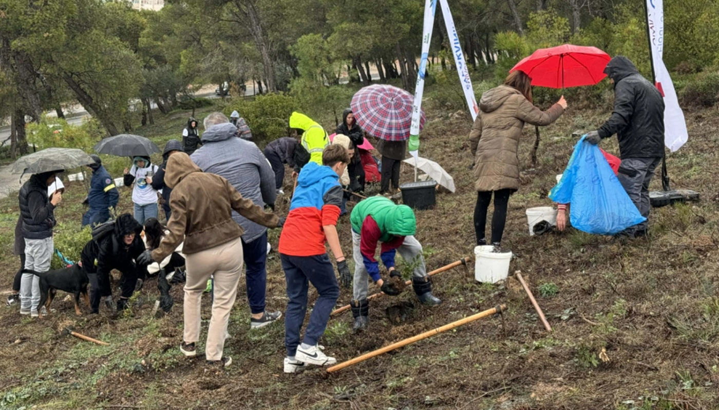 Βριλήσσια: Επιτυχημένη  δράση δενδροφύτευσης στο περιαστικό δάσος του Αγίου Θεοκλήτου