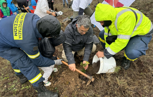 Βριλήσσια: Επιτυχημένη  δράση δενδροφύτευσης στο περιαστικό δάσος του Αγίου Θεοκλήτου