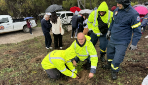 Βριλήσσια: Επιτυχημένη  δράση δενδροφύτευσης στο περιαστικό δάσος του Αγίου Θεοκλήτου