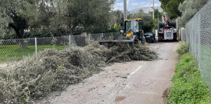 Εντατικό πρόγραμμα αποκομιδής κλαδιών και πρασίνου στον Δήμο Μαραθώνος (8/12 - 17/12) Εντατικό πρόγραμμα αποκομιδής κλαδιών και πρασίνου στον Δήμο Μαραθώνος (8/12 - 17/12)