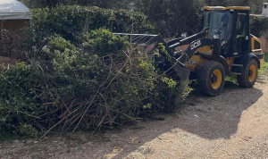 Εντατικό πρόγραμμα αποκομιδής κλαδιών και πρασίνου στον Δήμο Μαραθώνος (8/12 - 17/12) Εντατικό πρόγραμμα αποκομιδής κλαδιών και πρασίνου στον Δήμο Μαραθώνος (8/12 - 17/12)