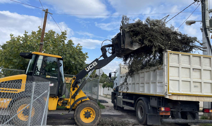 Εντατικό πρόγραμμα αποκομιδής κλαδιών και πρασίνου στον Δήμο Μαραθώνος (8/12 - 17/12)