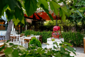 «Δούκισσα»: Η αρχοντιά του μεζέ σε μια καταπράσινη όαση στο Χαλάνδρι «Δούκισσα»: Η αρχοντιά του μεζέ σε μια καταπράσινη όαση στο Χαλάνδρι