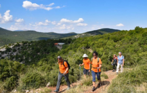 «Πελετά και Νότια Κυνουρία» Η Γοητεία της "Άγονης" Αυθεντικότητας