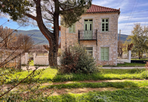 «Πελετά και Νότια Κυνουρία» Η Γοητεία της "Άγονης" Αυθεντικότητας