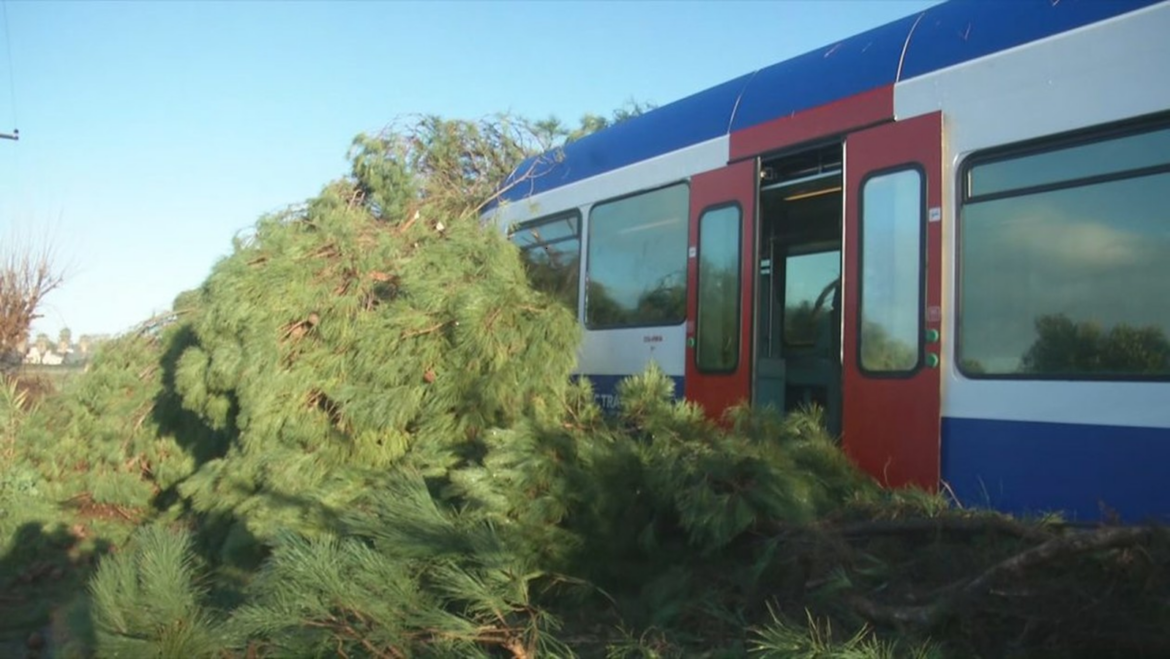 Σοβαρό Ατύχημα στις Ράγες: Πτώση Δέντρου σε Αμαξοστοιχία στον Πύργο
