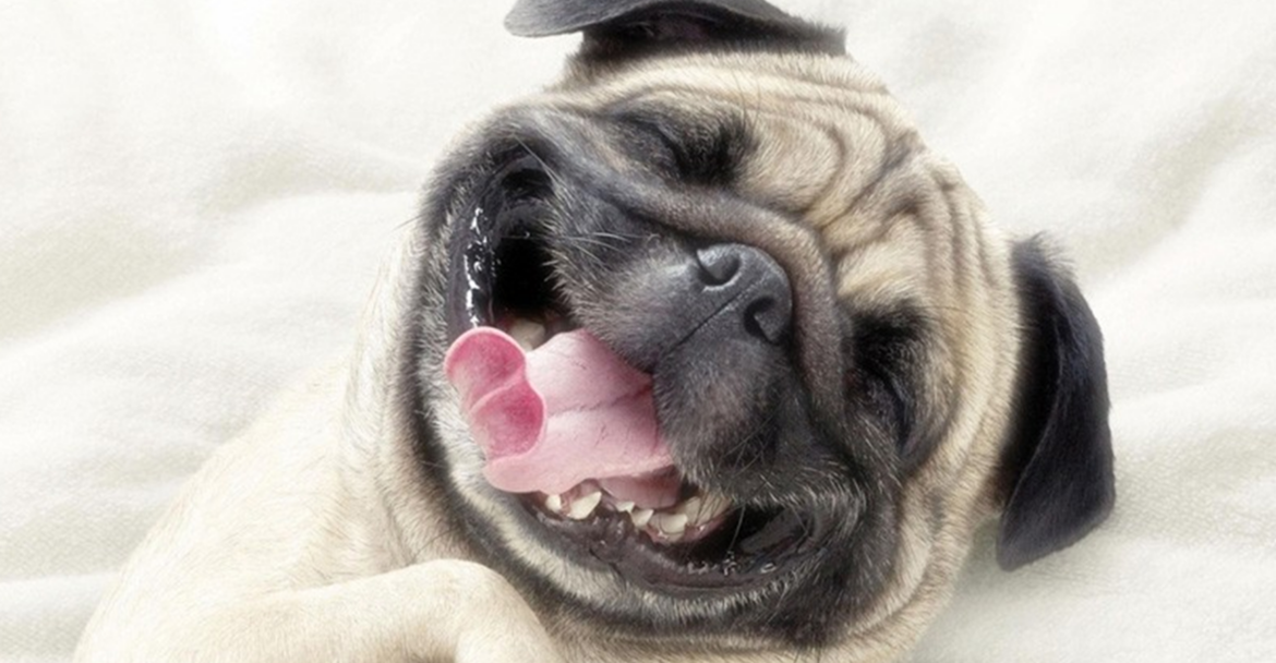 Ο "Αόρατος" Σύμμαχος για τη Μακροζωία τους