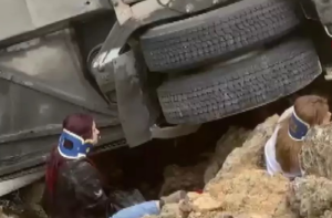 Τραγωδία στην Τουρκία: Οκτώ νεκροί από πτώση λεωφορείου σε χαράδρα στην Αττάλεια