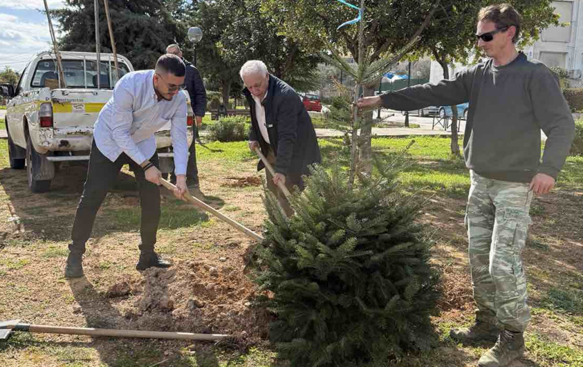Σε μια σημαντική κίνηση για την αναβάθμιση του αστικού περιβάλλοντος προχώρησε ο Δήμος Αχαρνών, τοποθετώντας πλατάνια και έλατα σε πέντε κεντρικά σημεία της πόλης.