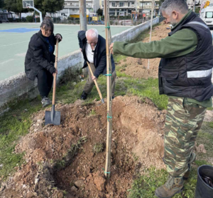 Σε μια σημαντική κίνηση για την αναβάθμιση του αστικού περιβάλλοντος προχώρησε ο Δήμος Αχαρνών, τοποθετώντας πλατάνια και έλατα σε πέντε κεντρικά σημεία της πόλης.