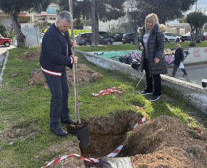 Σε μια σημαντική κίνηση για την αναβάθμιση του αστικού περιβάλλοντος προχώρησε ο Δήμος Αχαρνών, τοποθετώντας πλατάνια και έλατα σε πέντε κεντρικά σημεία της πόλης.