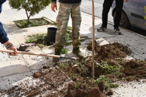 Σε μια σημαντική κίνηση για την αναβάθμιση του αστικού περιβάλλοντος προχώρησε ο Δήμος Αχαρνών, τοποθετώντας πλατάνια και έλατα σε πέντε κεντρικά σημεία της πόλης.