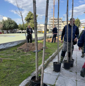 Σε μια σημαντική κίνηση για την αναβάθμιση του αστικού περιβάλλοντος προχώρησε ο Δήμος Αχαρνών, τοποθετώντας πλατάνια και έλατα σε πέντε κεντρικά σημεία της πόλης.