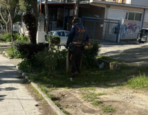 Δήμος Αχαρνών: Επιχείρηση «Πράσινη Καθημερινότητα» – Συνεχείς παρεμβάσεις στις κεντρικές οδικές αρτηρίες