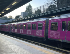 Η Αθήνα στα «Ροζ»: Ο Φούξια Συρμός του ΗΣΑΠ που έγινε Viral Η Αθήνα στα «Ροζ»: Ο Φούξια Συρμός του ΗΣΑΠ που έγινε Viral